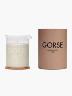 Gorse Candle