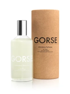 Gorse Perfume