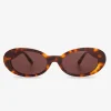 Kurt Sunglasses - Tortoise Brown