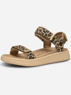 Line Suede Sandals - Leopard