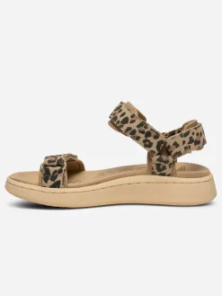 Line Suede Sandals - Leopard